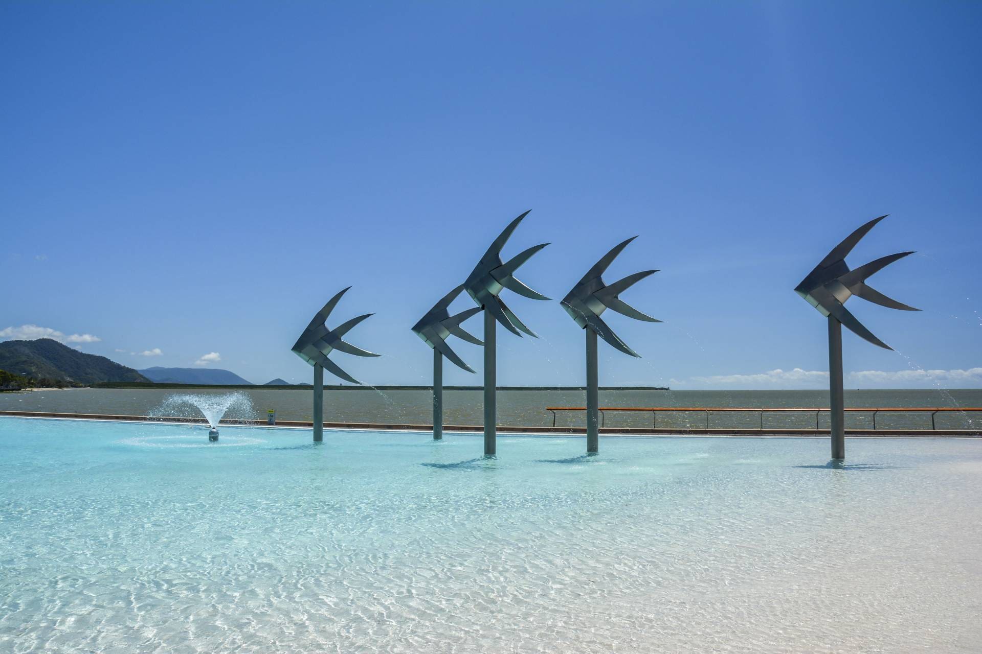 Cairns Woven Fish in the Lagoon